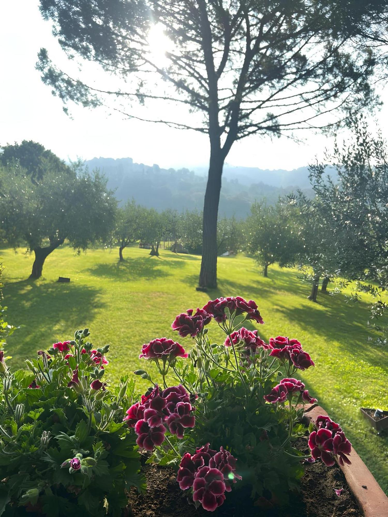 Santa Maria Degli Ancillotti Guest House Petrignano Eksteriør bilde